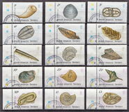[Fossils, type ET]
