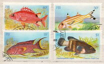 [Shallow Water Marine Fish, type PS]