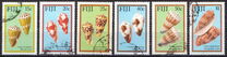 [Cone Shells of Fiji, 类型 QV]