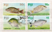 [Freshwater Fish, típus SY]