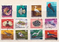 [Decimal Currency - Animals of the Cocos Islands, type N]