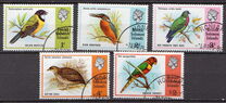 [Birds, type FI]
