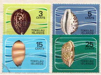 [Shells of the Coral Reefs, प्रकार AI]