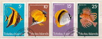 [Fish of the Coral Reefs, type AM]
