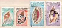 [Seashells, type GZ]