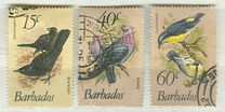 [Birds, Вид OW]