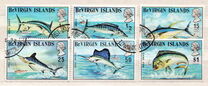 [Ocean Sport Fishing, Scrivi EU]