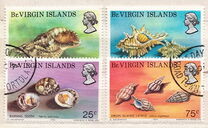 [Marine Snails, тип FY]