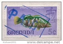 [Fauna and Flora, type CW]