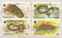 [WWF - Jamaican Boas, type UY]