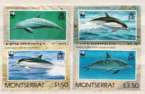 [World Wildlife Fund - Dolphins, Tip XJ]