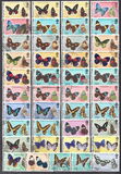 [Butterflies of Belize, type I]