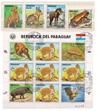 [Airmail - Wild Animals, type DVD]
