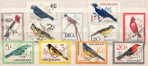 [Airmail - Birds, type OS]