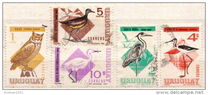 [Birds, type UA]