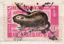 [Airmail - Local Fauna, tegund XW]
