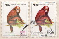 [Airmail - Fauna Protection, tegund YD]