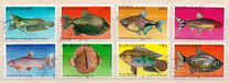 [Airmail - Tropical Fish, type ANS]