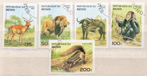[Mammals, type QO]