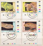 [Reptiles, type II]