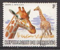 [African Animals, Tüüp AWV]