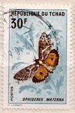 [Butterflies and Moths, type ES]