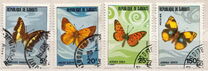 [Butterflies, 类型 V]