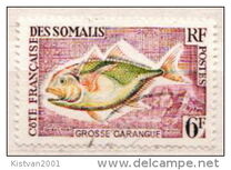 [Flora and Fauna, tegund DN]