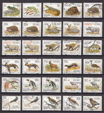 [Endangered Fauna, tip ADO]