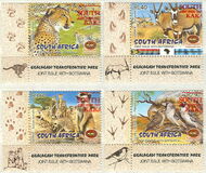 [Kgalagadi Transfrontier Wildlife Park, jenis AUU]