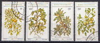 [Edible Wild Fruits, 類型 BD]