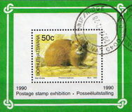 [Small Mammals, type IA]