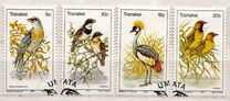 [Birds, տեսակ BX]