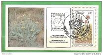 [Aloes, ประเภท GD]