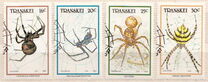 [Spiders, Tip GY]