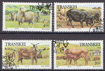 [Domestic Animals, タイプ HC]