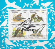 [Doves, type KZ]