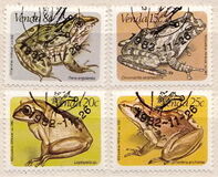 [Frogs, type BN]