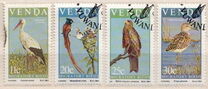 [Migratory Birds, ประเภท CM]