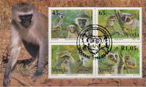 [Monkeys, тып JI]
