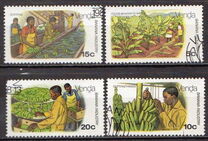 [Banana Cultivation, type AD]