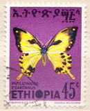 [Butterflies, tegund YZ]