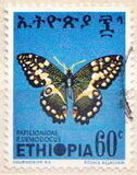 [Butterflies, tegund ZB]