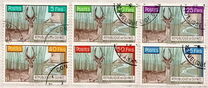 [Bohor Reedbuck, 类型 AC]