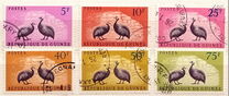 [Birds - Guineafowl, نوع AE]
