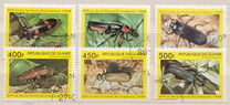 [Beetles from Around the World, Typ BDH]