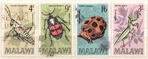 [Insects of Malawi, tip CI]