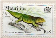 [Geckos, 유형 YS]