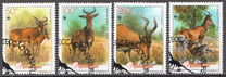 [Lichtenstein's Hartebeest, Scrivi AGM]