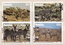 [Endangered Species - Mountain Zebra, type AI]
